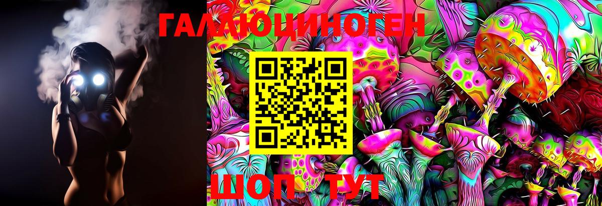 Псилоцибиновые грибы GOLDEN TEACHER  Галлюциногенные грибы Cubensis  Сургут  Вход с VPN 