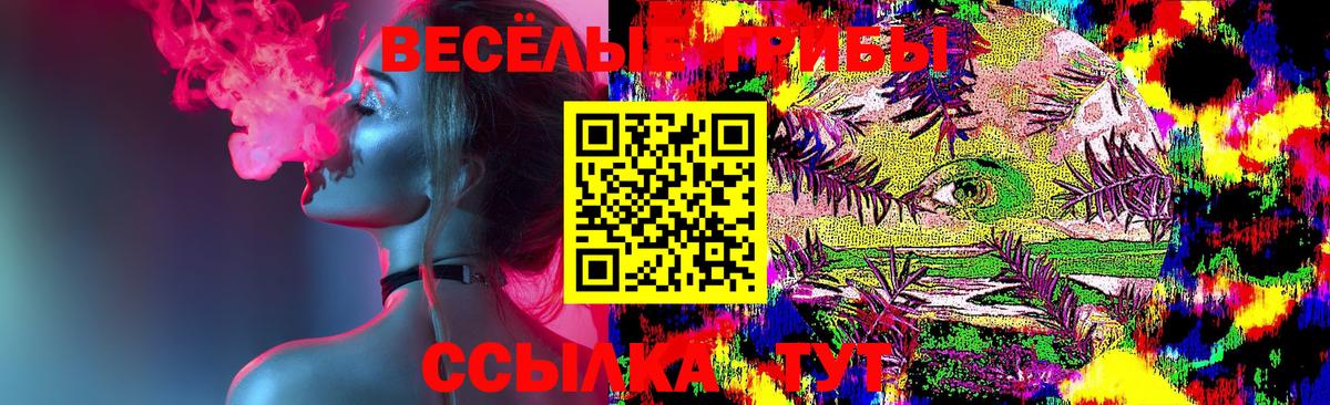 Псилоцибиновые грибы Cubensis Сургут